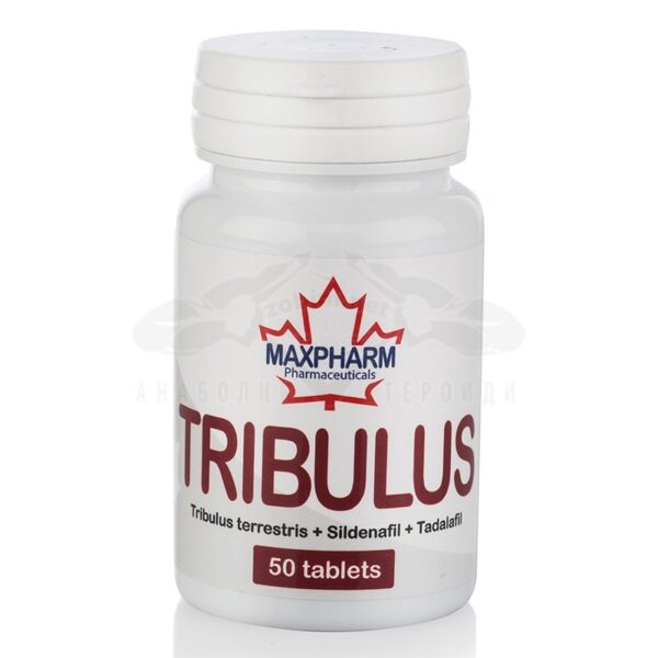 Tribulus + Sildenafil + Tadalafil