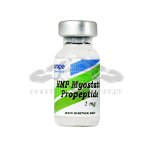 HMP Myostatin Propeptide - 1 mg.