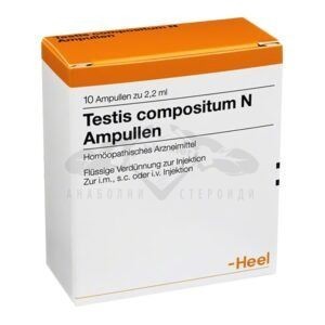 testis compositum