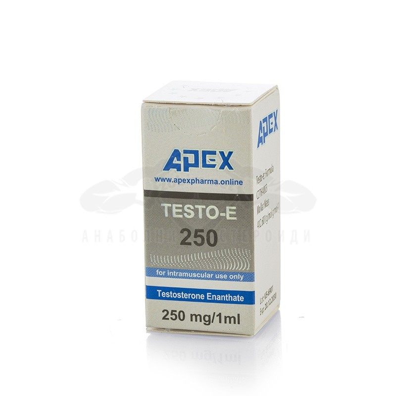 testo-e testo-e front view